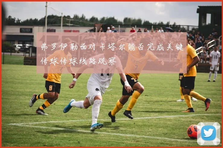 弗罗伊勒面对卡塔尔能否完成关键传球传球线路观察