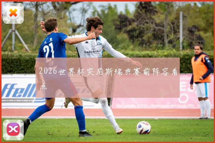 2026世界杯突尼斯瑞典赛前阵容看点