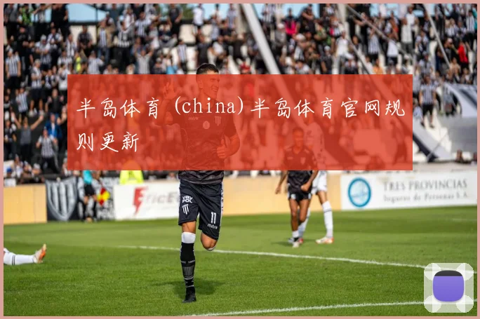 半岛体育 (china)半岛体育官网规则更新