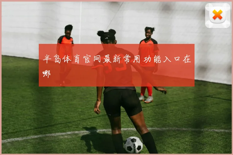 半岛体育官网最新常用功能入口在哪